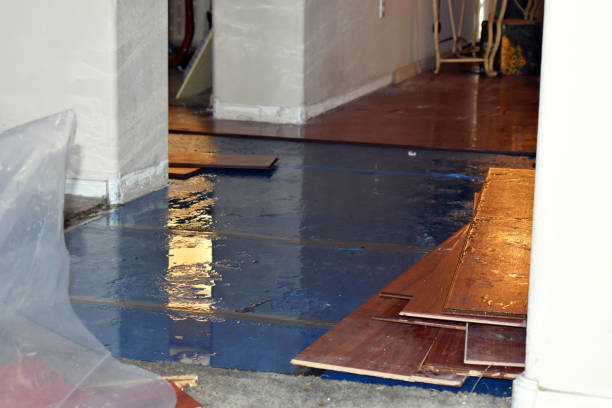 Professional Basement Water Removal technician working in Columbia, KY