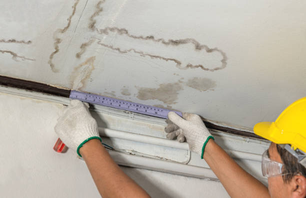 Reliable Basement Water Removal contractor in Columbia, KY by Water Damage Irwin